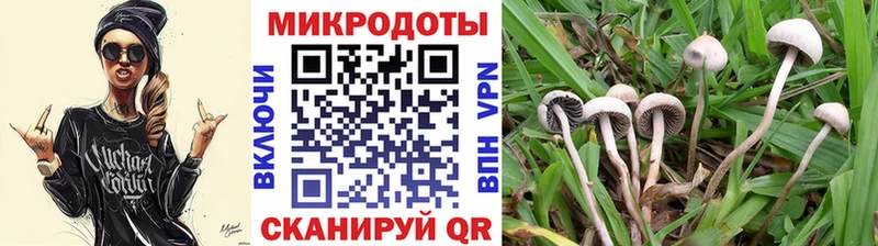 закладка  мориарти Telegram  Псилоцибиновые грибы Magic Shrooms  Сусуман 